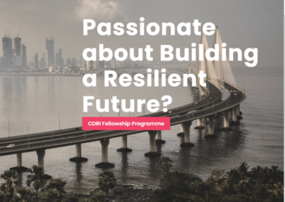 Coalition for Disaster Resilient Infrastructure (CDRI) Fellowship Programme