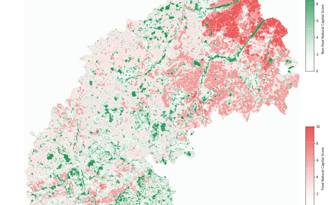 New interactive article illustrates urban planning models in action