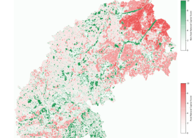 New interactive article illustrates urban planning models in action